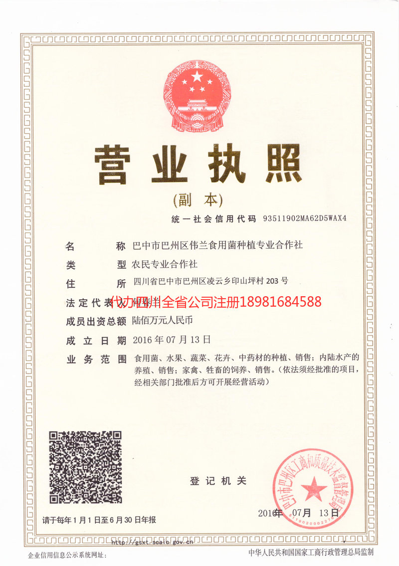 怀化怀化伟兰食用菌种植专业合作社